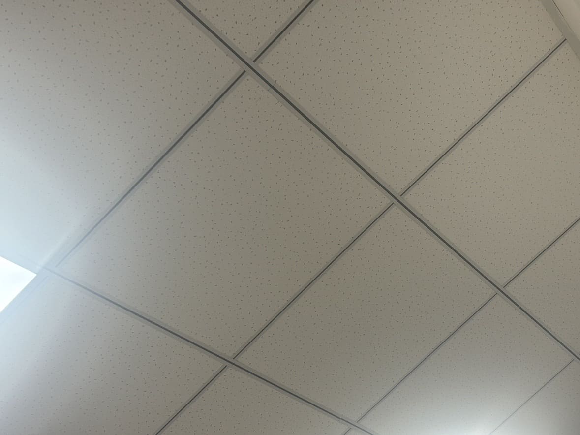 Optimal ceiling types for different home spaces and functions