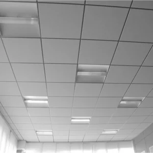 View of an office drop ceiling with integrated fluorescent lights and square panels.