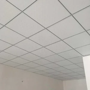 Suspended ceiling tiles with a light pattern in a grid layout inside a room, showcasing a modern interior design.